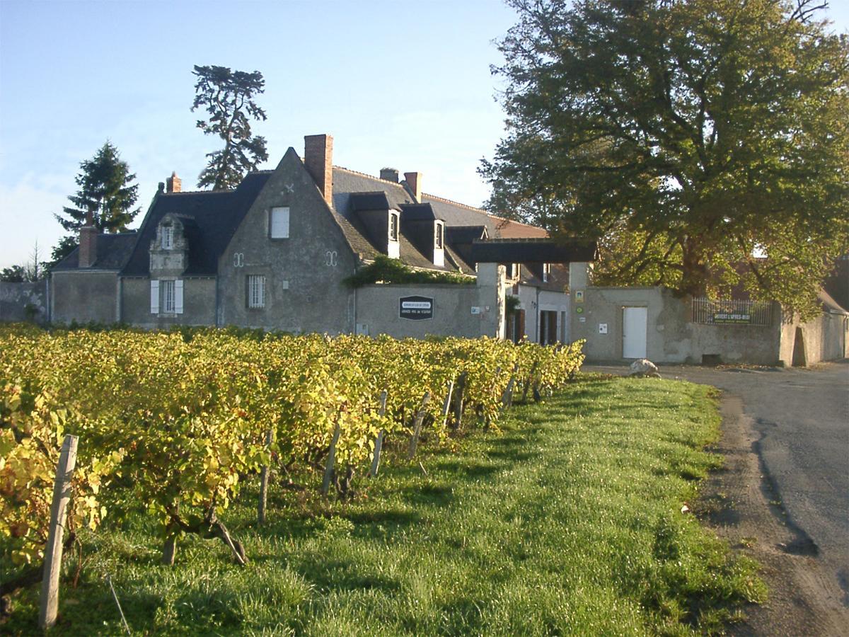 Au Clos De L'Epinay Vouvray Exterior photo