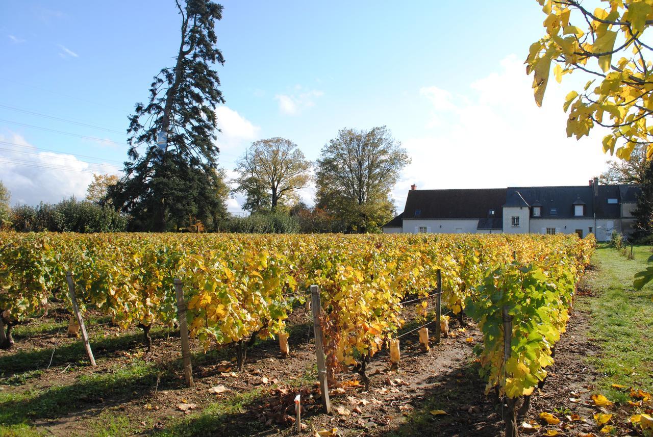 Au Clos De L'Epinay Vouvray Exterior photo
