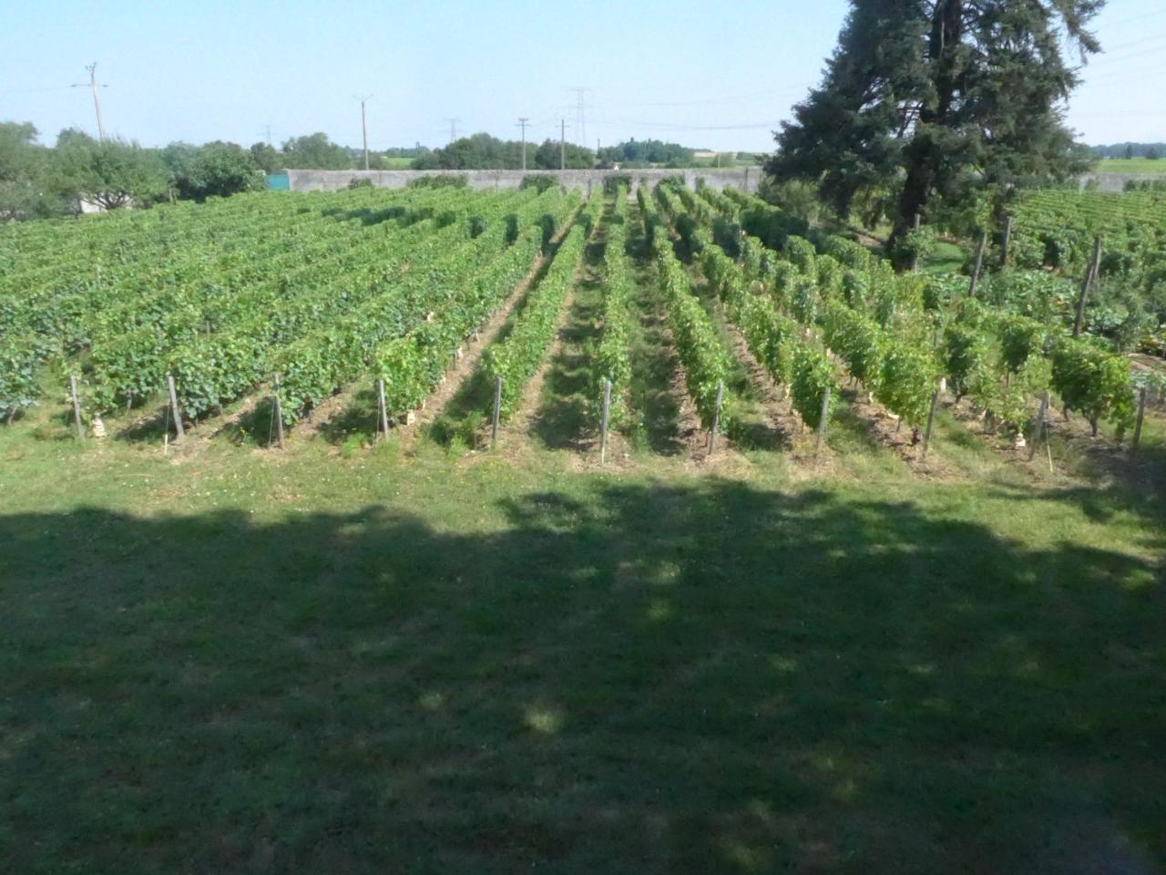 Au Clos De L'Epinay Vouvray Exterior photo